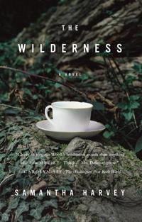 THE WILDERNESS